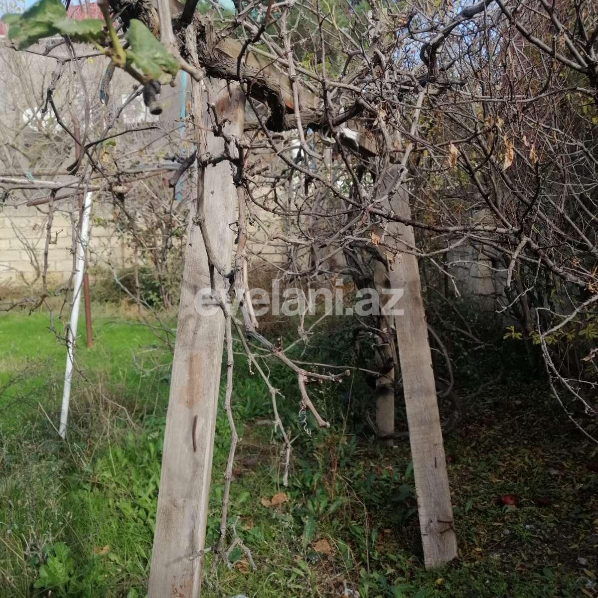 Satılır, həyət evi / bağ, 3 otaqlı, 65 m², Bakı, Abşeron r, Masazır q.