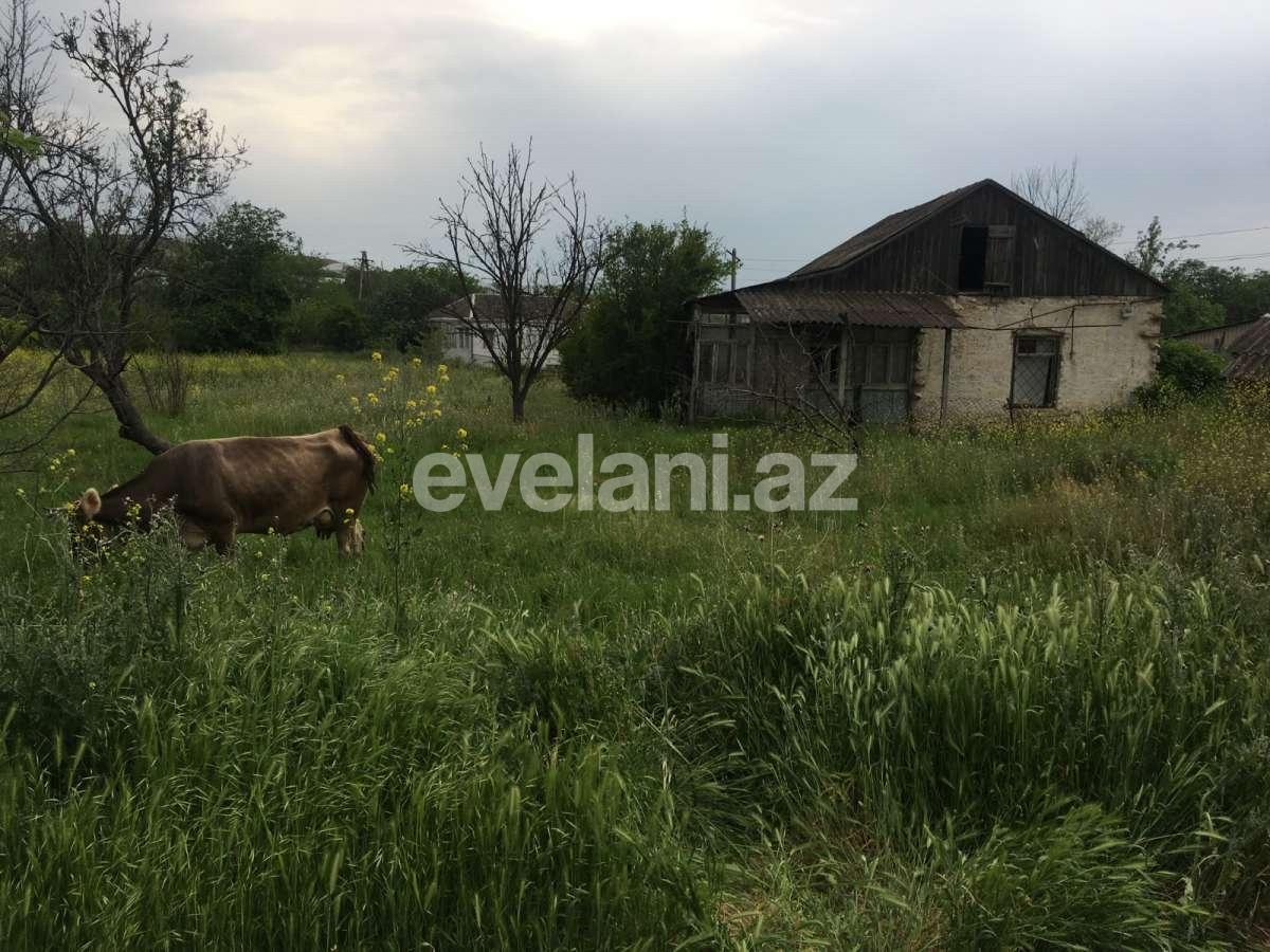 Продаётся, участок, 14 сот, Товуз