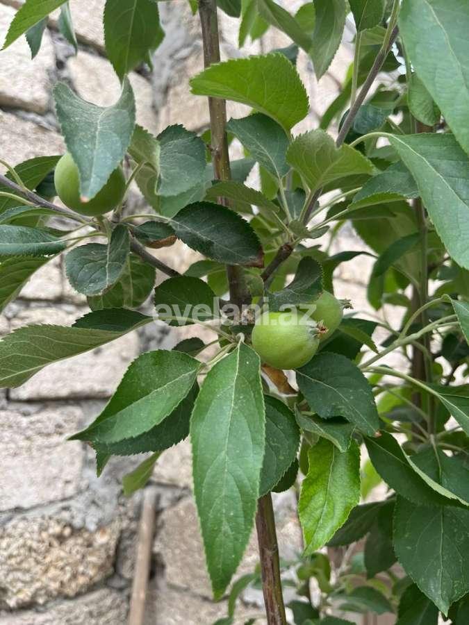 Satılır, həyət evi / bağ, 3 otaqlı, 90 m², Bakı, Abşeron r, Məhəmmədli q.