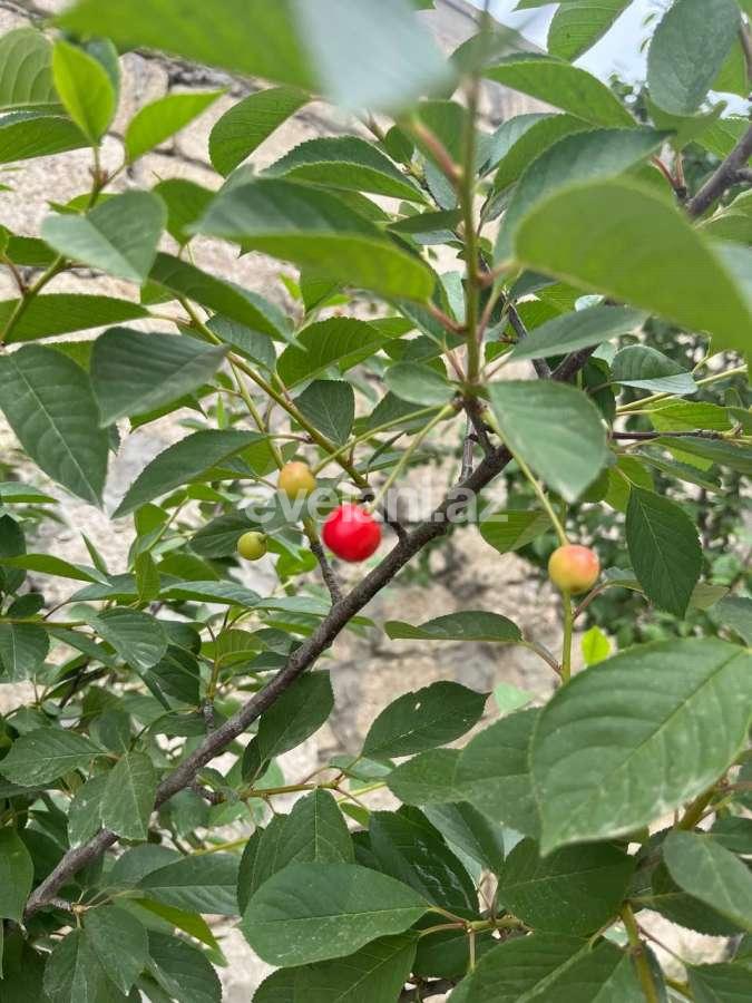 Satılır, həyət evi / bağ, 3 otaqlı, 90 m², Bakı, Abşeron r, Məhəmmədli q.