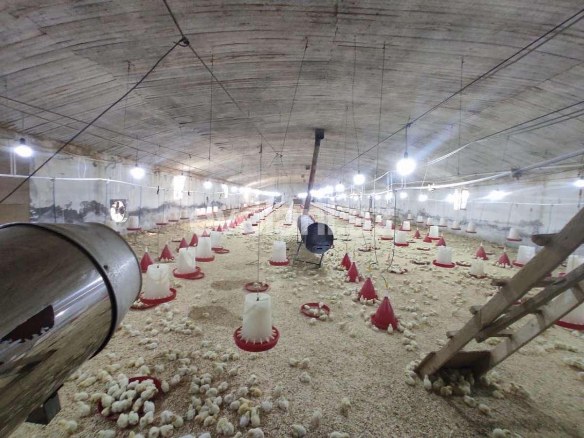 Satılır, obyekt, 30000 m², Bakı, Abşeron r, Pirəkəşkül q.