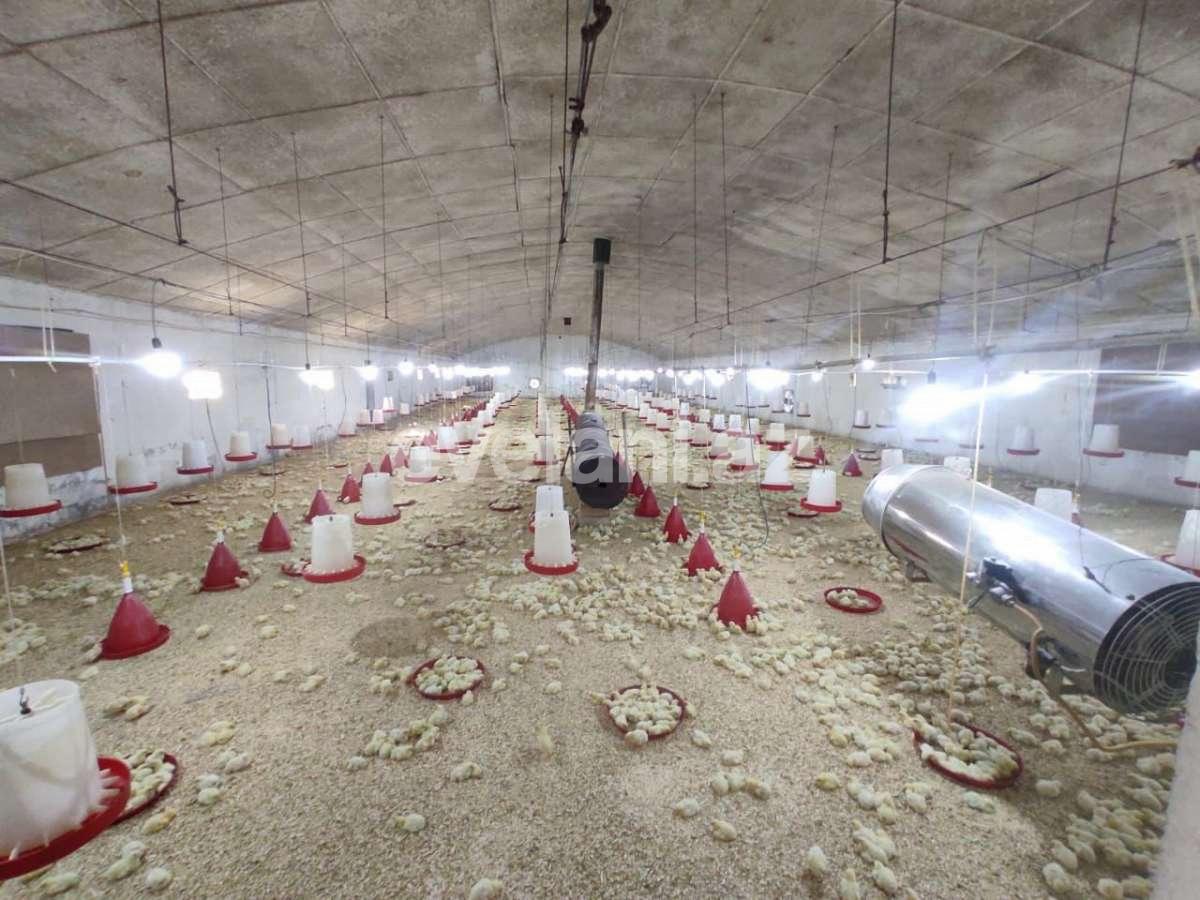 Satılır, obyekt, 30000 m², Bakı, Abşeron r, Pirəkəşkül q.