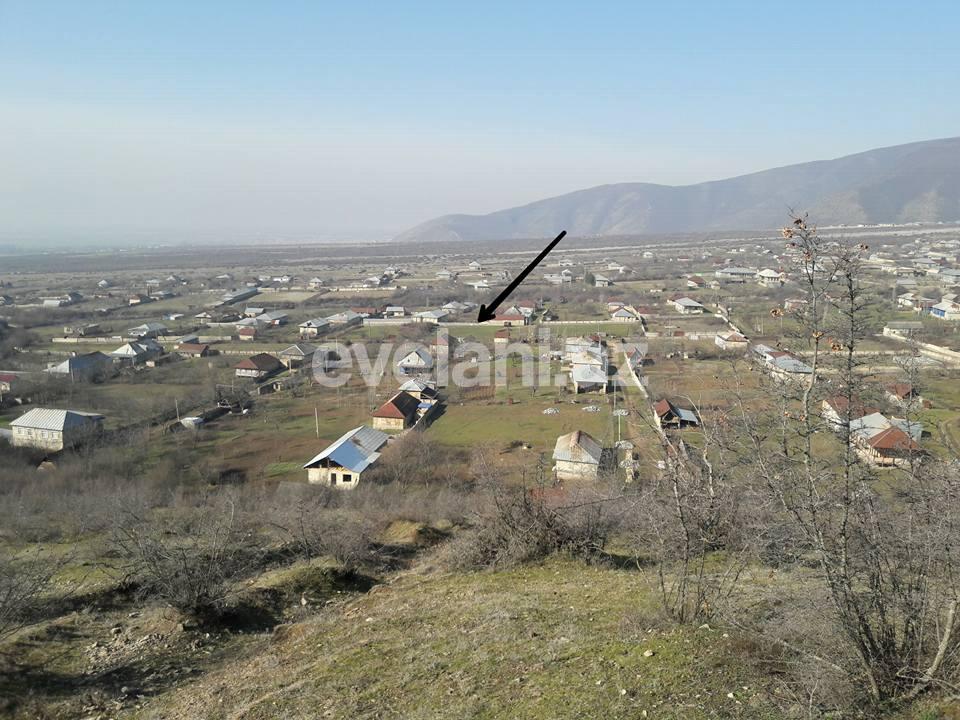 Satılır, torpaq, 21 sot, Şəki