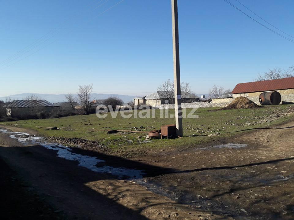 Satılır, torpaq, 21 sot, Şəki