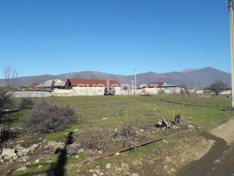 Satılır, torpaq, 21 sot, Şəki