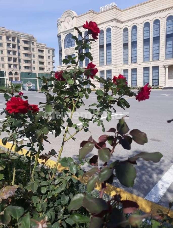 Продаётся, новостройка, 2-комнаты, 53 m²