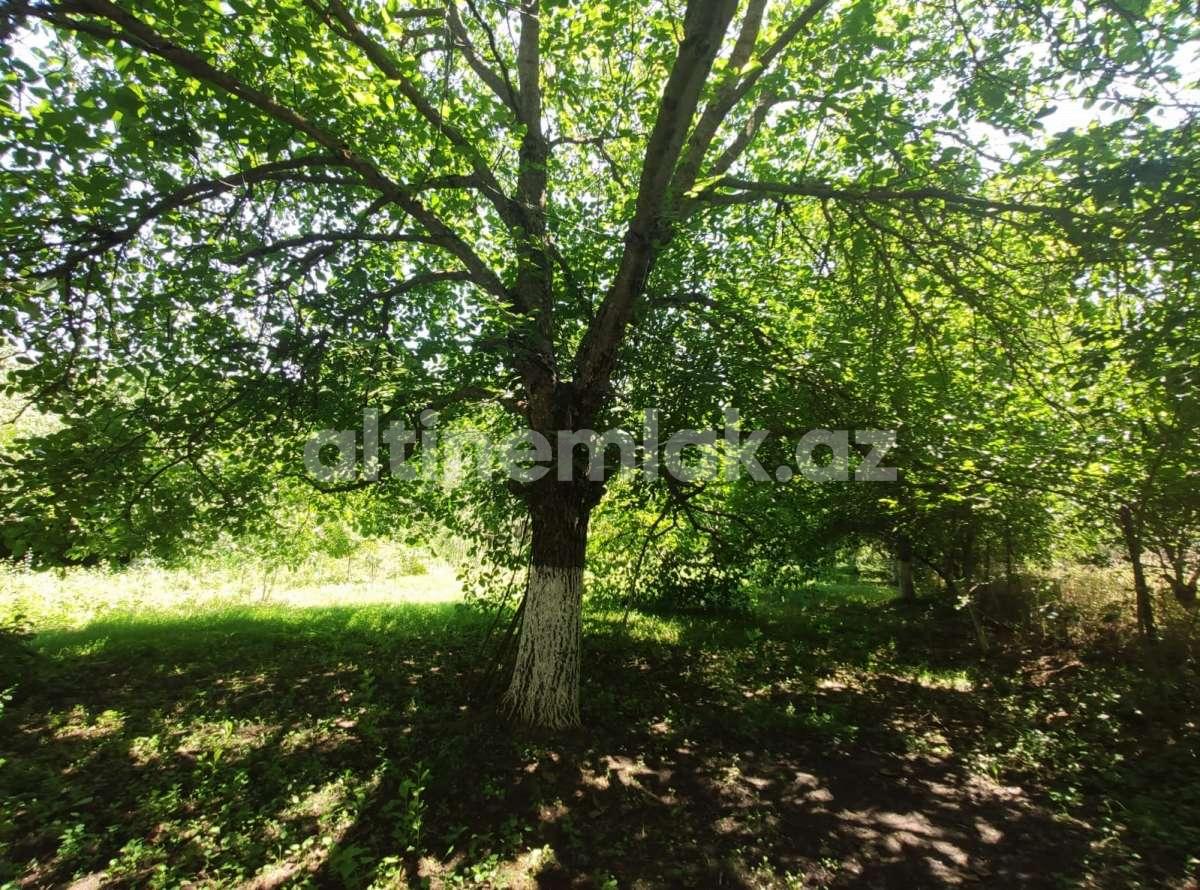 Sale, garden / house, 4 room, 120 m²