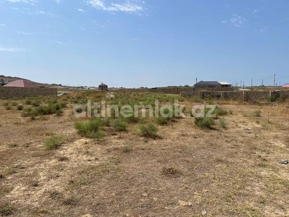 Sale, land, 12 ar