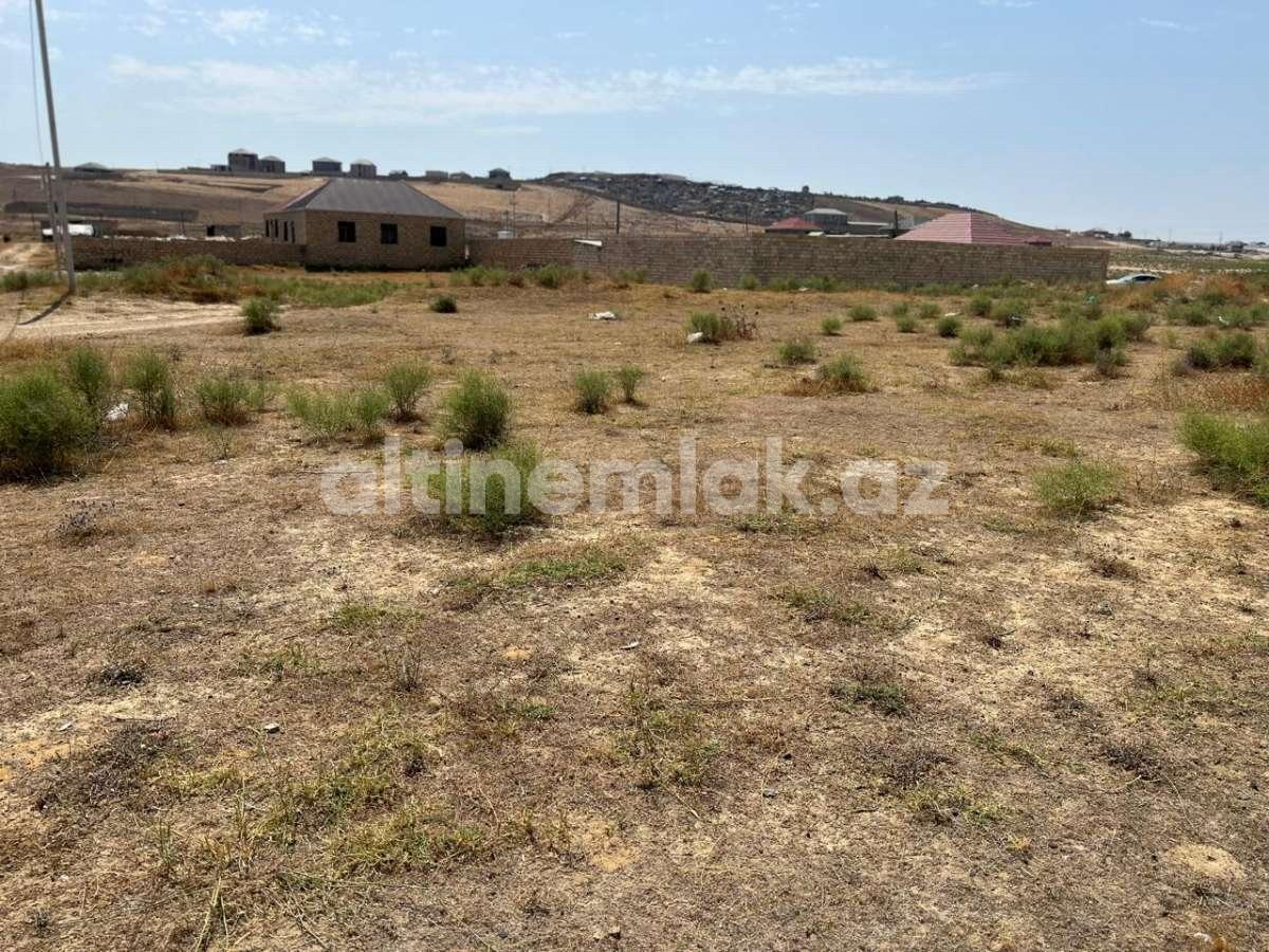 Sale, land, 12 ar