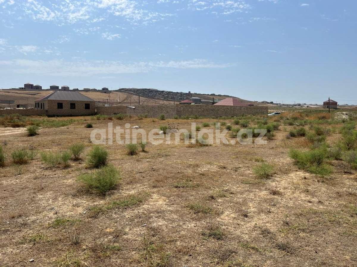 Sale, land, 12 ar
