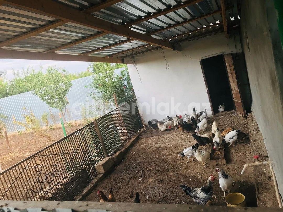 Продаётся, дом / дача, 4-комнаты, 120 m²