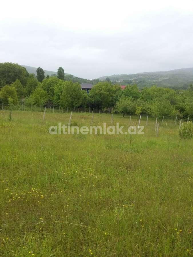 Satılır, torpaq, 50 sot