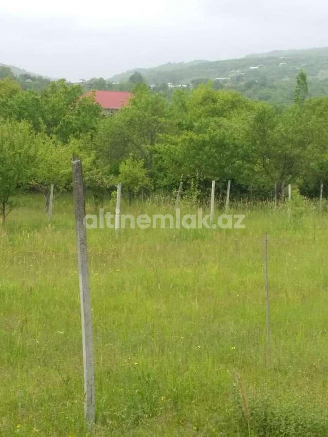 Satılır, torpaq, 50 sot