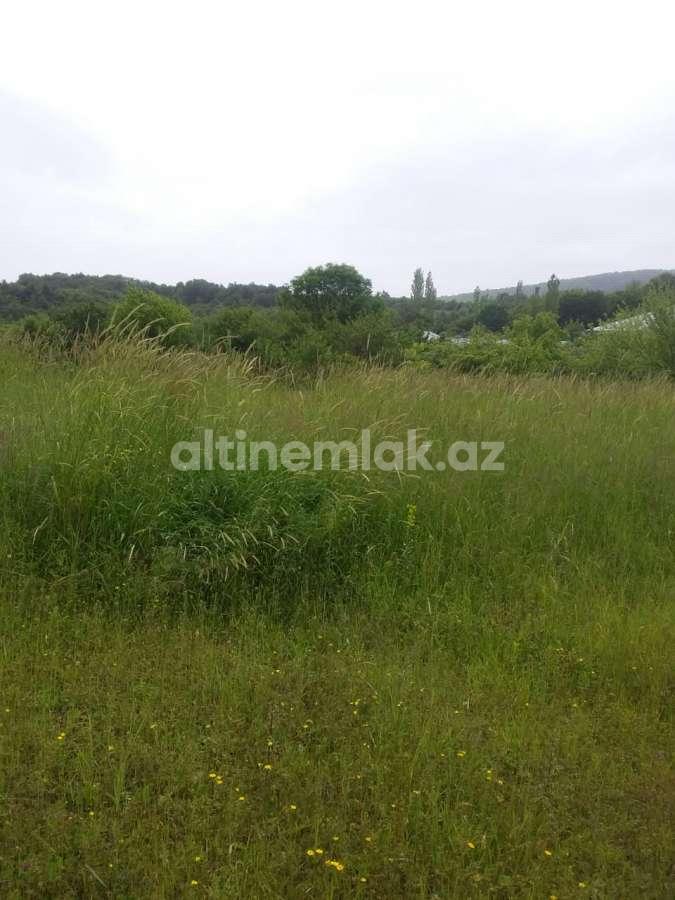 Satılır, torpaq, 50 sot