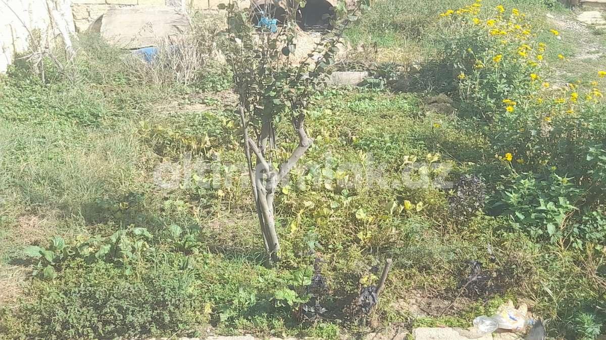 Продаётся, дом / дача, 8-комнаты, 128 m²