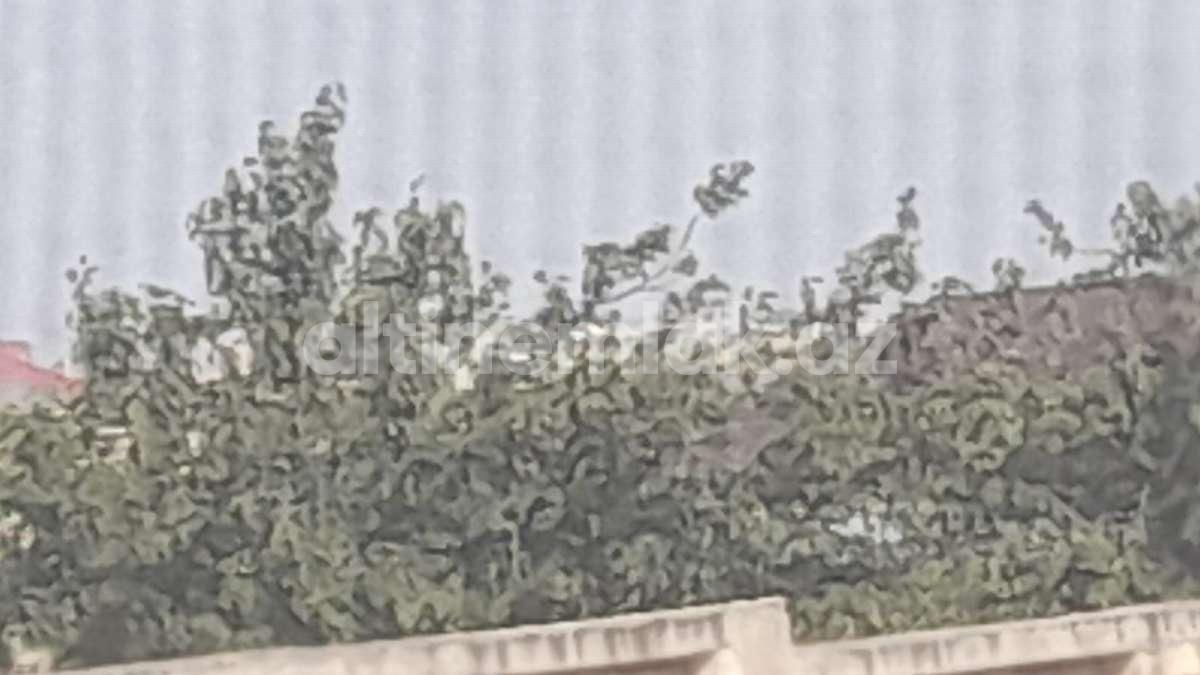 Продаётся, дом / дача, 8-комнаты, 128 m²